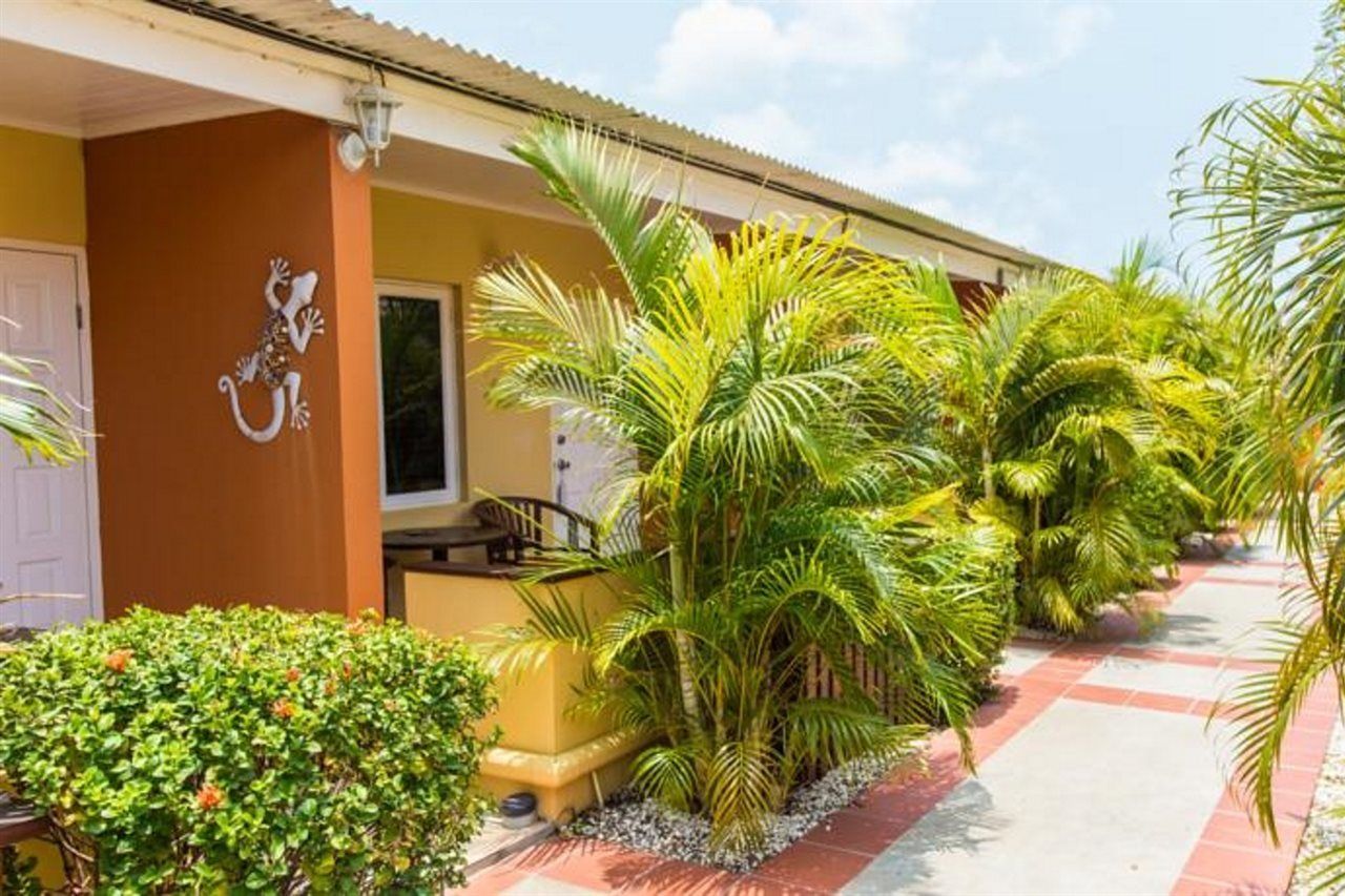 Carinas Studio Apartments Palm Beach Bagian luar foto