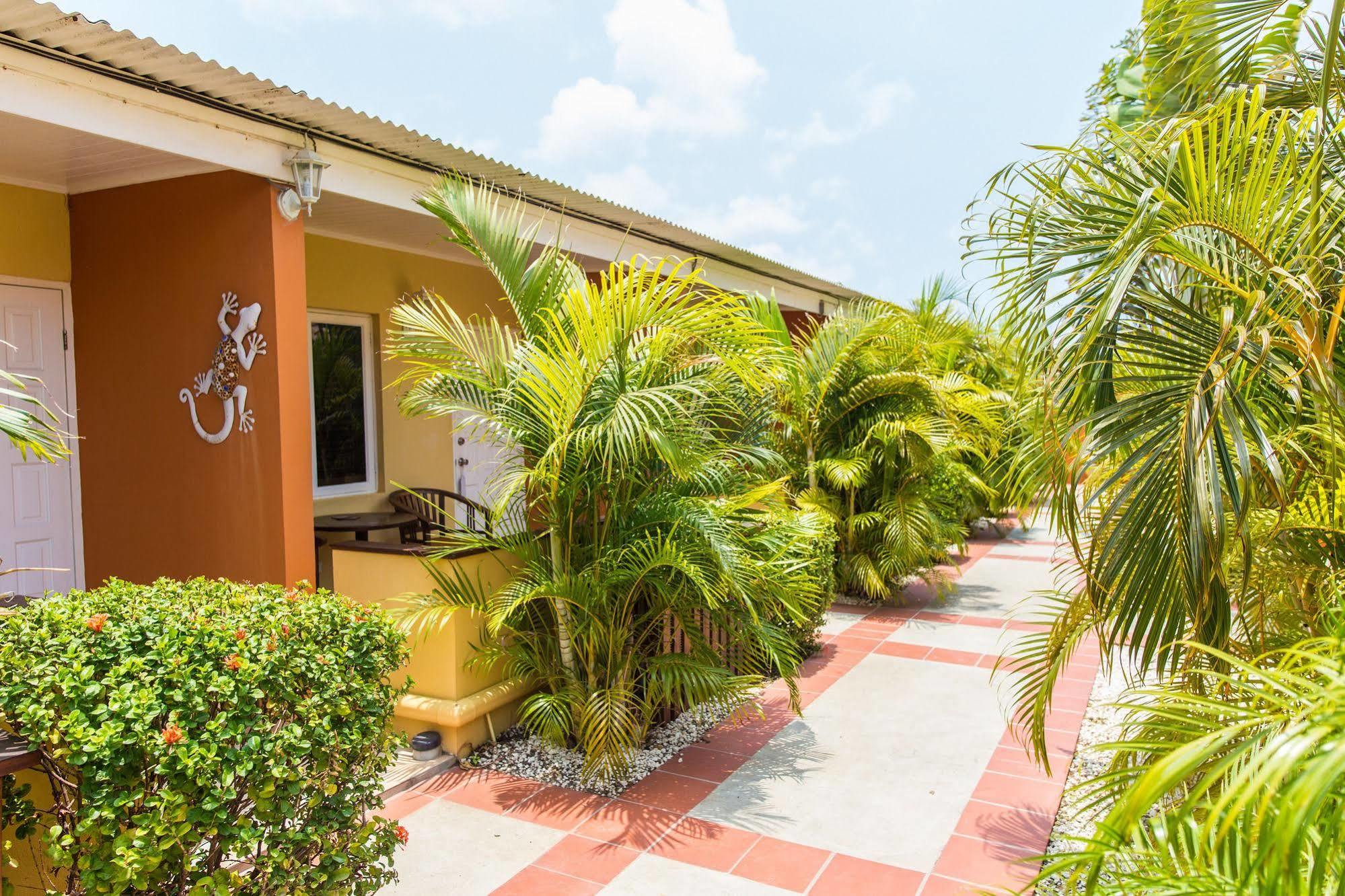Carinas Studio Apartments Palm Beach Bagian luar foto